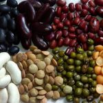 A photo of eight kinds of beans grouped together