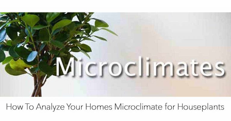 Analyze Your Home's Microclimate for Plants